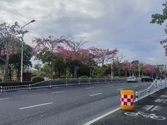 -厦门高崎国际机场-T3航站楼