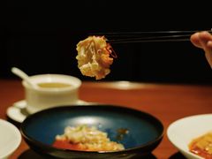火凤凰绣球菇-觀芷隐轩