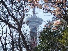 -南京古林公园