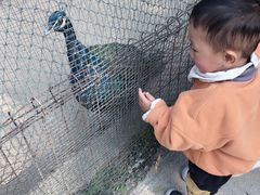 -祥源·阜阳生态乐园