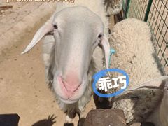 -太原动物园