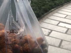 -王阿姨文昌油赞子(府桥街店)