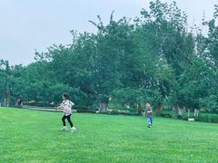 -御林古桑园