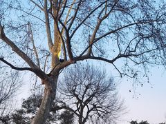 -杭州西湖柳莺里酒店·闻莺厅