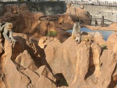 -昆明动物园