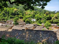 -杨家堂村