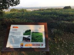 -南京市江宁方山
