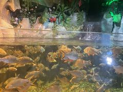 -左海海底世界