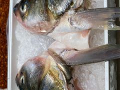 -川西坝子火锅(金沙1.0直营店)