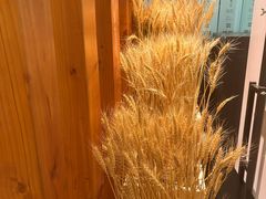 -麦子MaiMassage(打浦桥店)