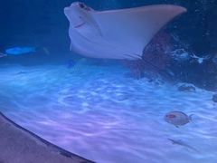 -沈阳海洋探索中心