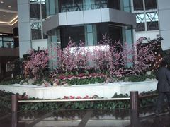 大堂-上海新锦江大酒店