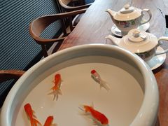 -花城苑广府菜(侨鑫店)