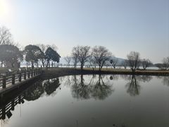 -长兴太湖图影湿地文化园