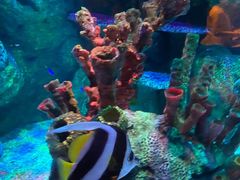 -沈阳海洋探索中心