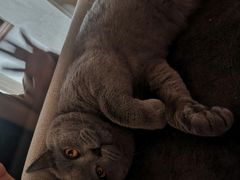 -Me Coffee下午茶艺术空间