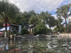 -映月潭温泉