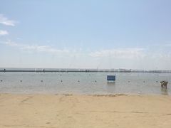 -碧海金沙