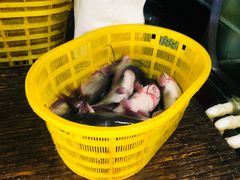 -岳各庄批发市场(西四环中路店)
