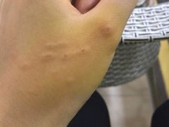 -嘟宝宠物生活馆(白桦林居店)