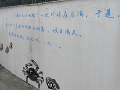 -东极岛景区