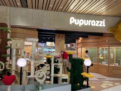 -帕帕拉兹宠物(亚洲旗舰店)