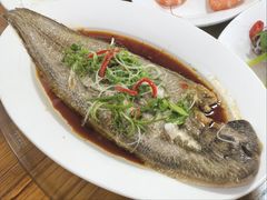 清蒸龙舌-肥弟大排档(汕樟路店)