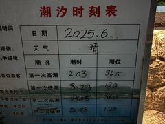 -小麦岛公园