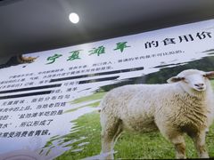 -银川河东国际机场