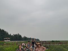 -北海金海湾红树林生态旅游区