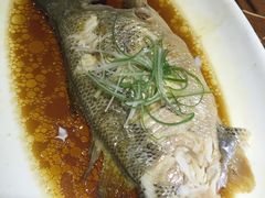 清蒸鲈鱼-黑鸡小馆(金源店)