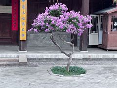 -胡氏古民居建筑