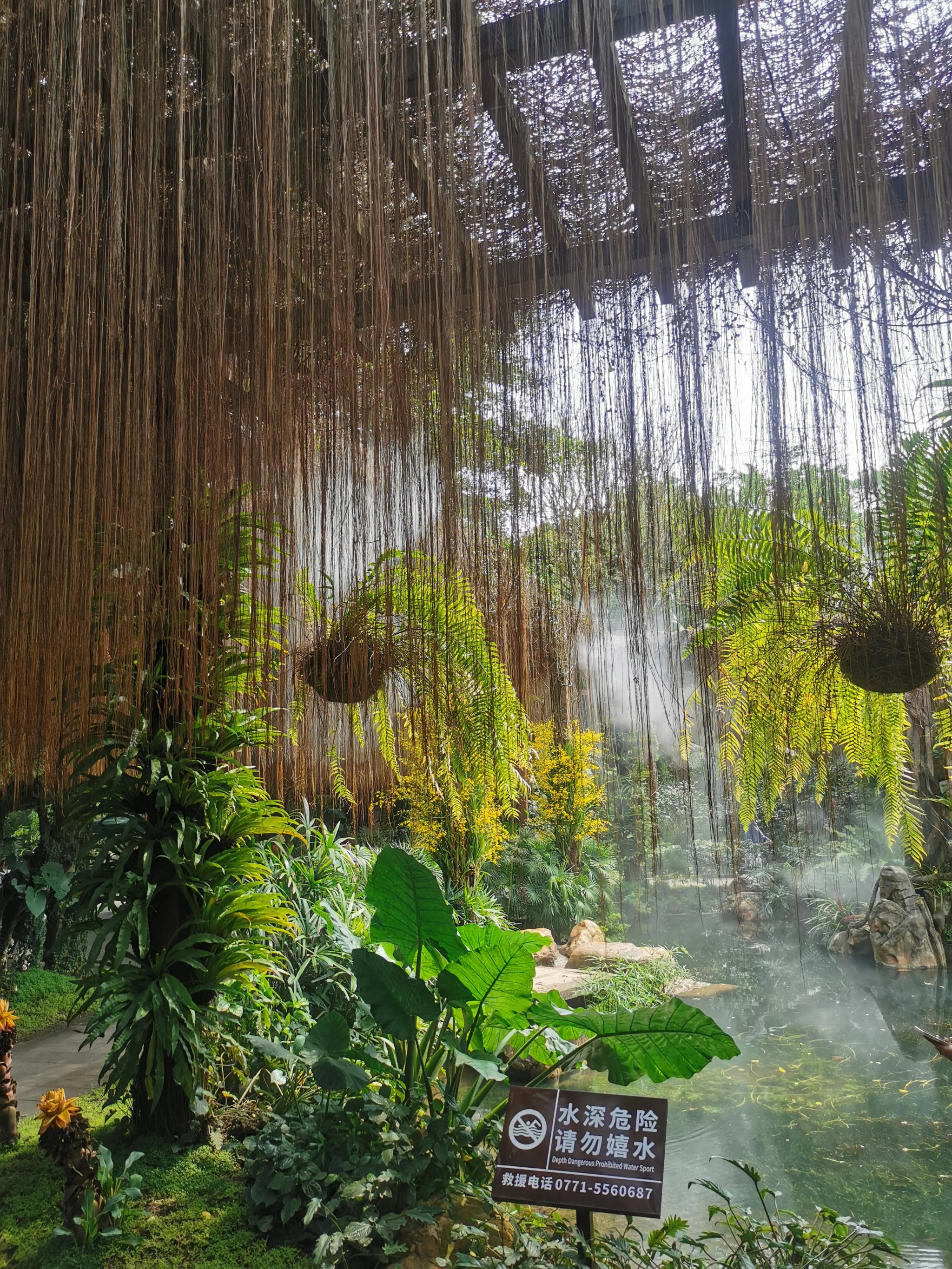 青秀山荫生植物园图片