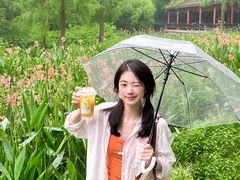 -重庆彩云湖湿地公园