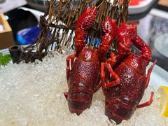 -洪福龙虾