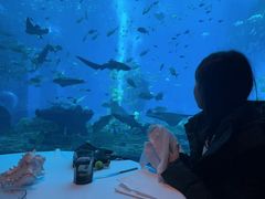 -亚特兰蒂斯•OSSIANO奥西亚诺海底餐厅
