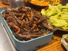 -柿子树炭烤羊腿(金台路店)