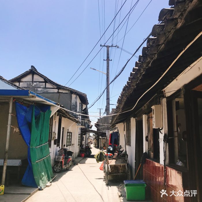陈桥老饭店--环境图片-上海美食-大众点评网