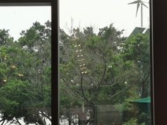 -星巴克臻选(广州二沙岛文立方店)