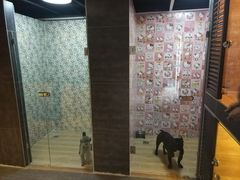-宠物之家Pets Home 宠物寄养酒店
