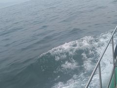 -日照大牌檔•小船海鲜(万平口店)