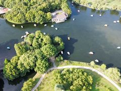 -上海共青森林公园