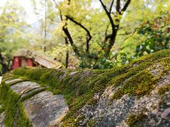 -青芝山风景名胜区