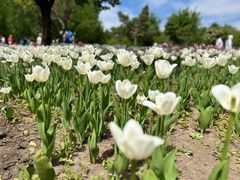 -长春公园(普阳街道)