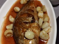 红烧大黄鱼-金鼎轩(阜成门店)