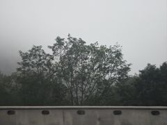 -深圳野生动物园
