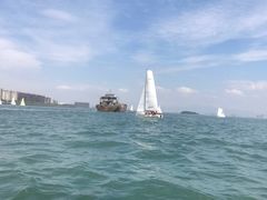 -海豚湾扬帆出海帆船游艇