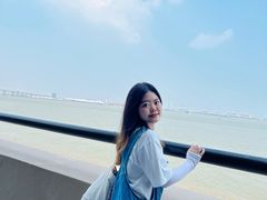 -大湾区中央湿地公园