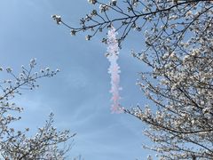 -堤角公园