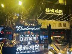 -禄婶鸡煲·打边炉